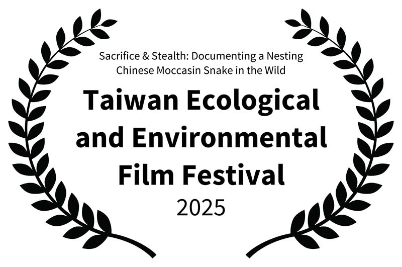 林業及自然保育署臺中分署全球首部百步蛇野外護卵孵化紀錄影片獲雙獎入圍肯定