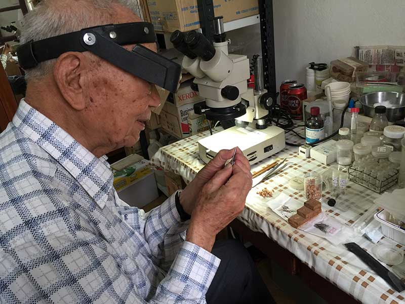 科博館獲贈世界級「蚊人」蒐藏    蠓科標本助攻小黑蚊防治！