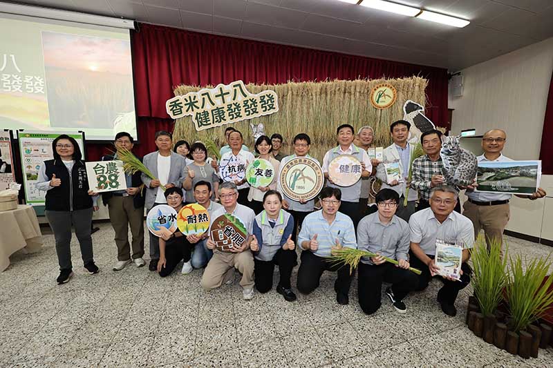 農試所舉辦「香米八十八、健康發發發」發表會   介紹耐熱香米新品種