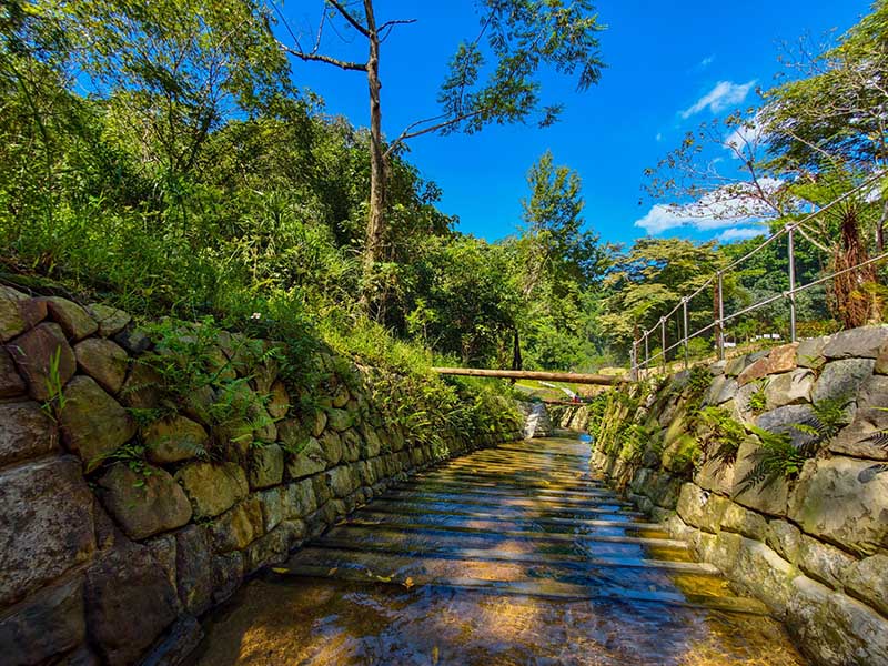 「第25屆公共工程金質獎」　農村水保署 6 項工程與個人獲金質獎肯定