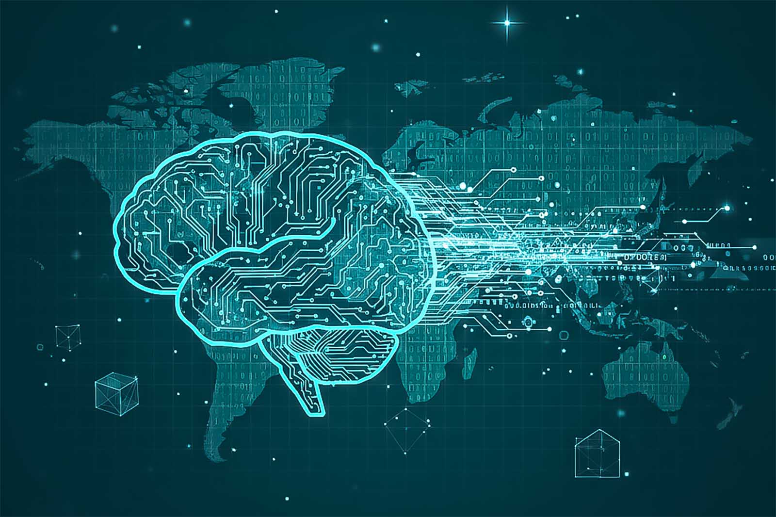 台灣面臨美依戰爭的另類能源-痲瘋樹