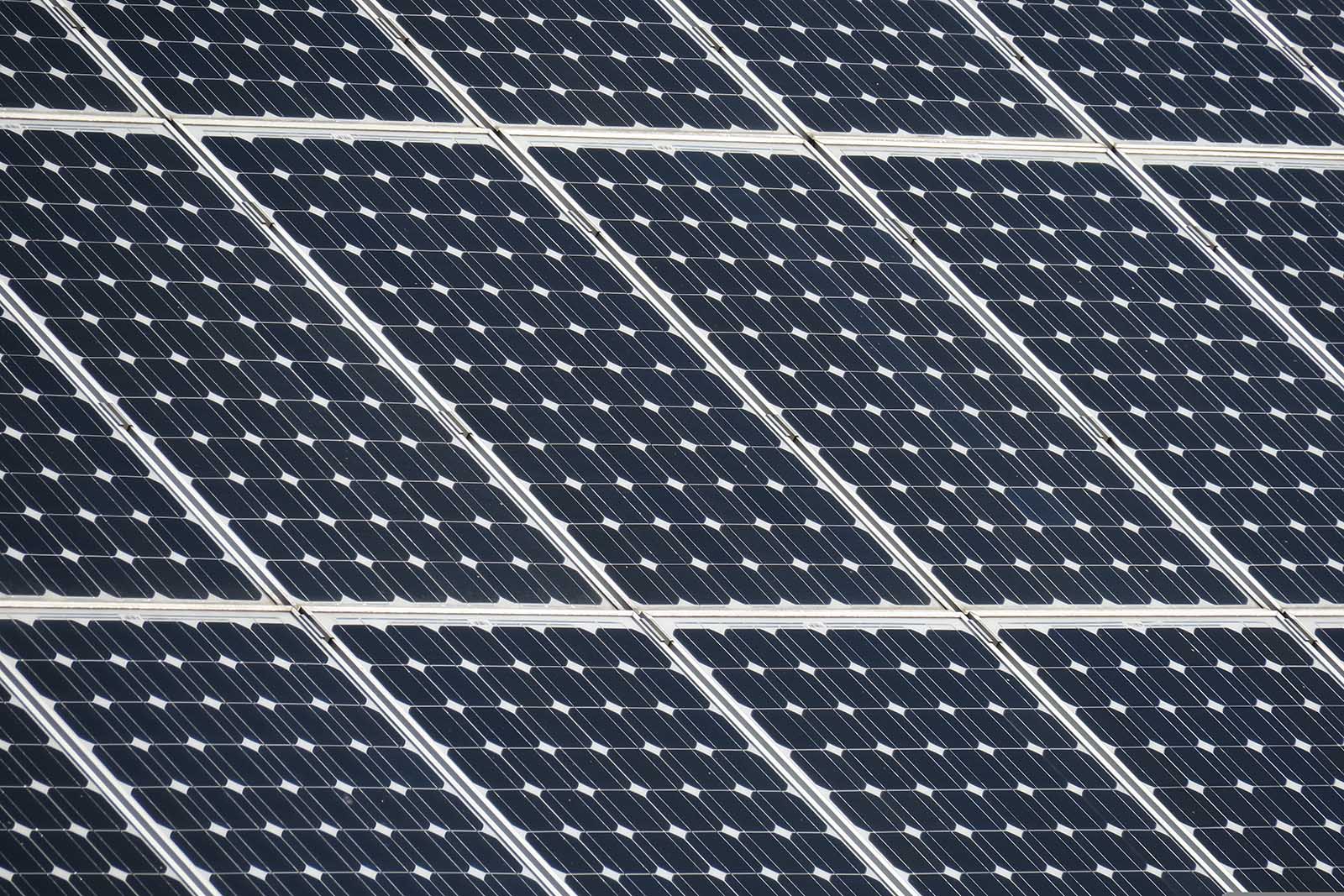 端視颱風後光電科技對生態之影響